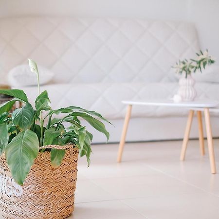Oasis Garden House Apartment Nea Iraklitsa Ngoại thất bức ảnh